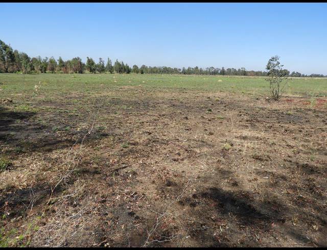 115,300M² VACANT LAND FOR SALE IN DE DEUR